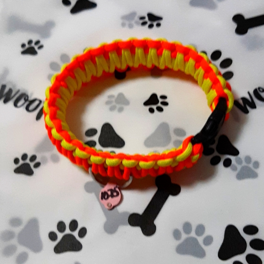 Paracord Dog Collar King Cobra Weave w/ YKK Buckle